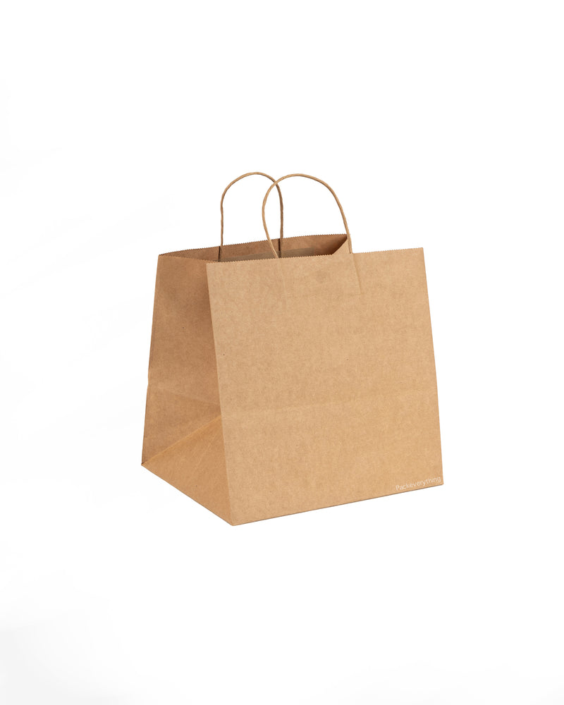 Kraft Food Paper Bag (10)