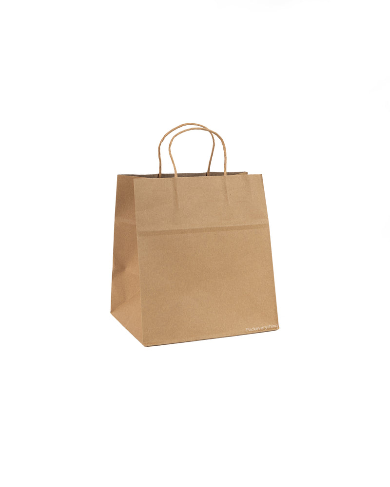Kraft Food Paper Bag (9)