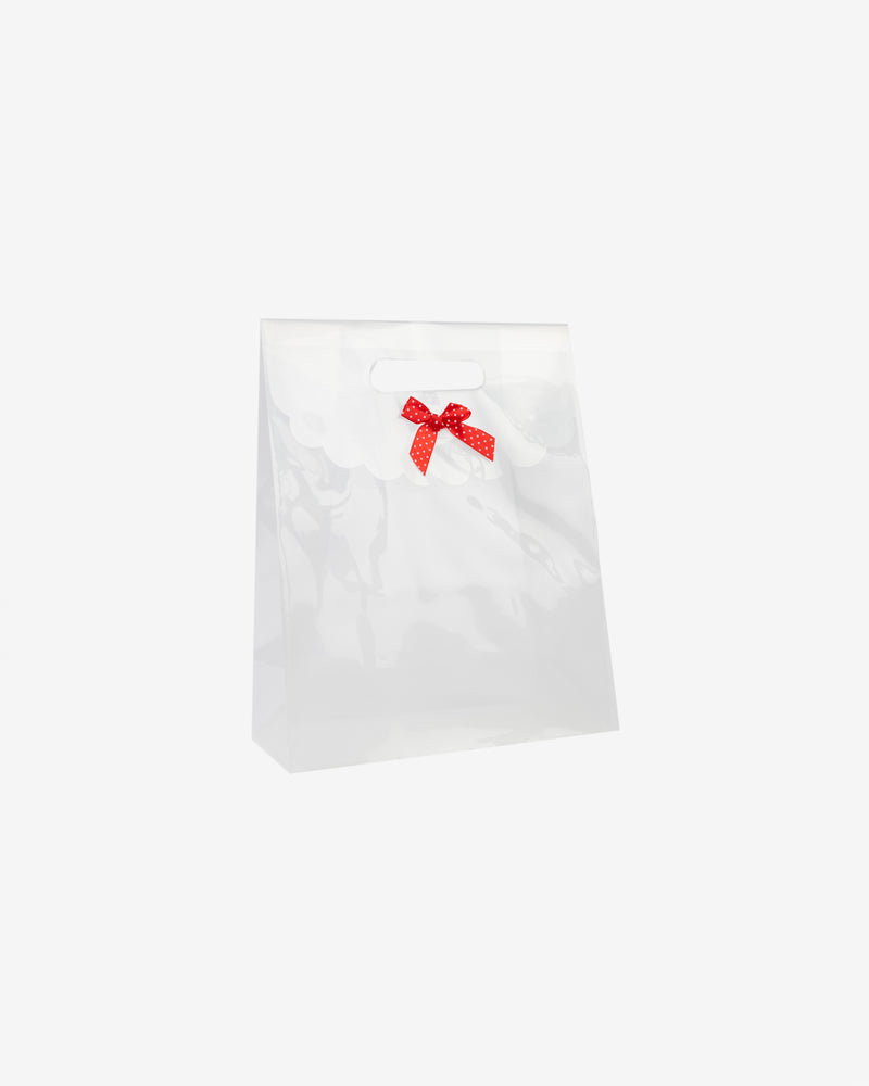 PP Transparent Gift Pack with Velcro Closure, 10 pcs
