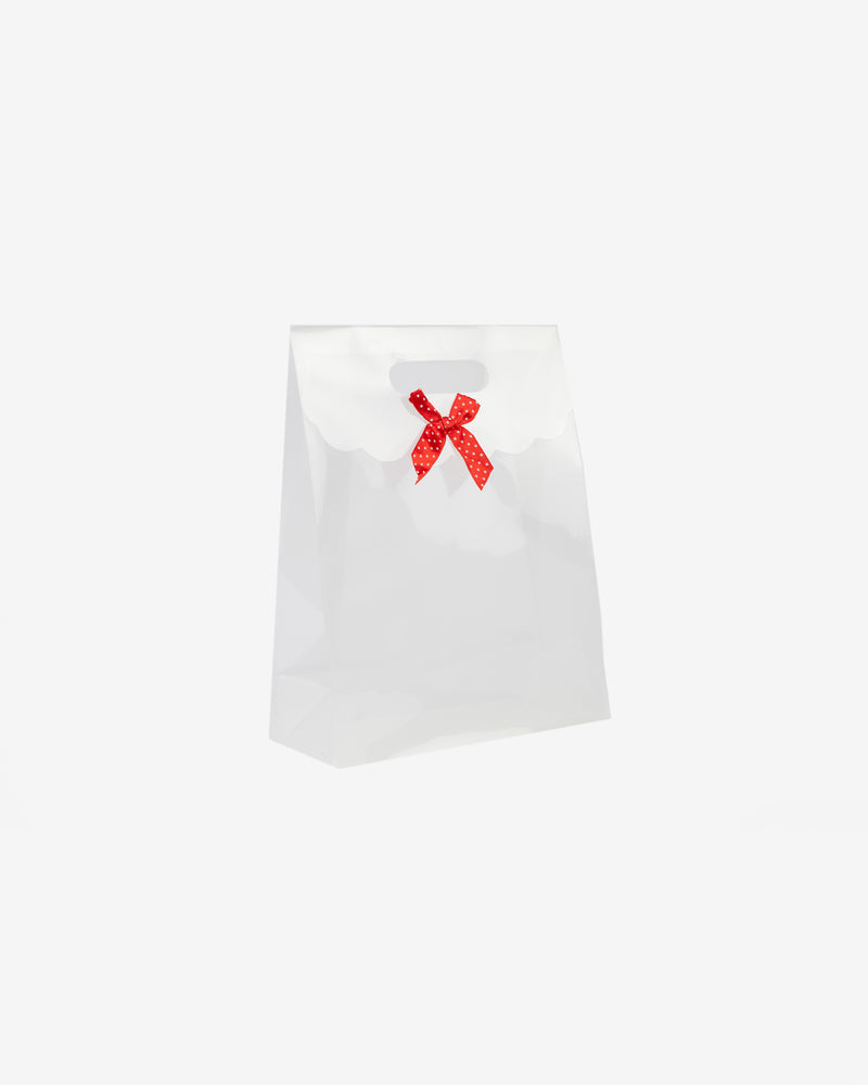 PP Transparent Gift Pack with Velcro Closure, 10 pcs