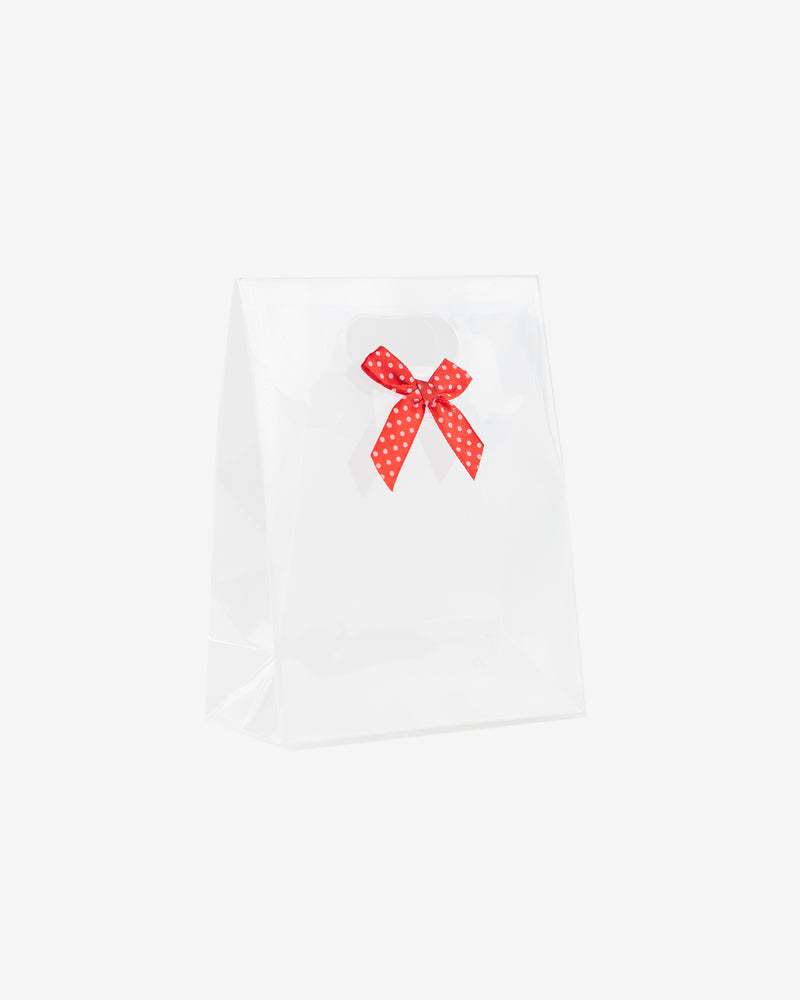 PP Transparent Gift Pack with Velcro Closure, 10 pcs