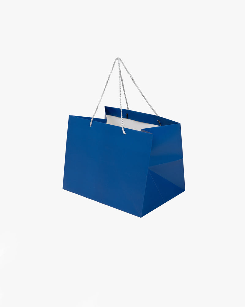 Blue Matte Laminated Paper Bag with Champagne Rope Handle