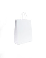 eco-Kraft Paper Bag