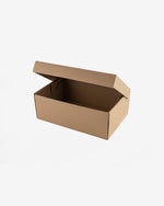 Shoe Box (L)