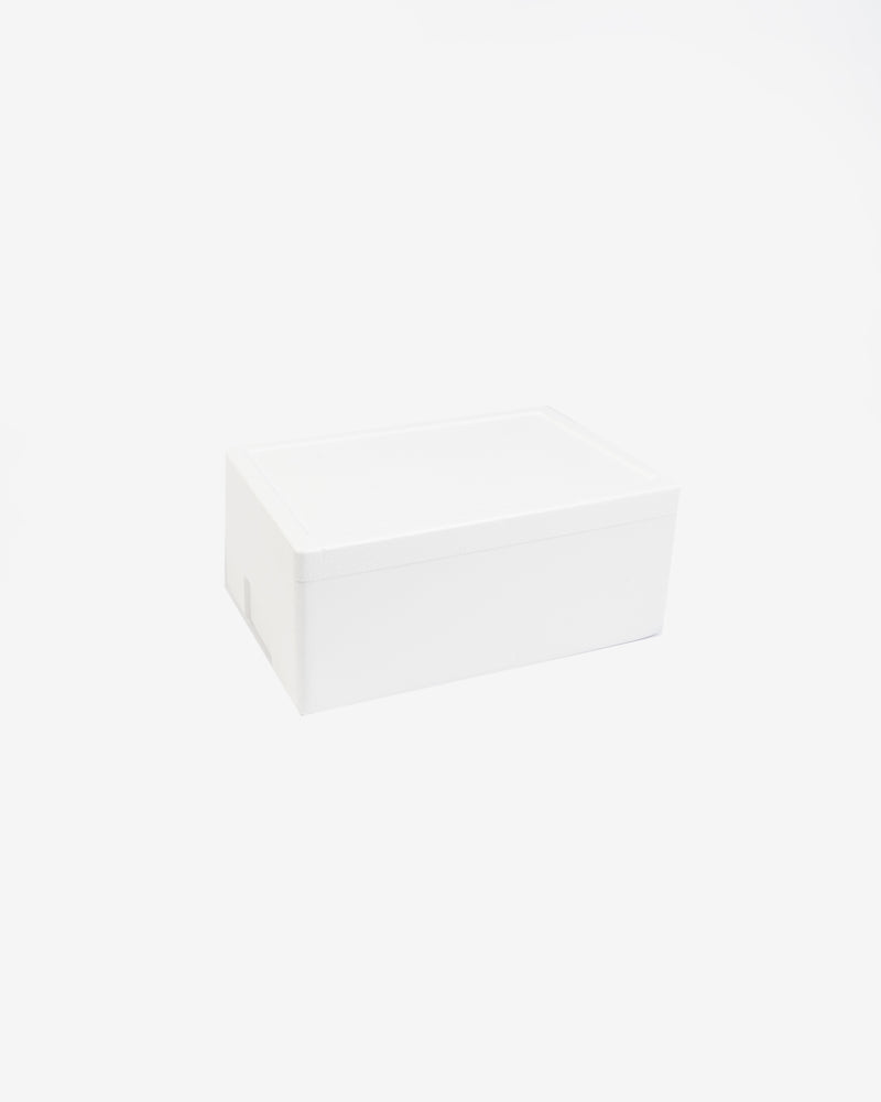 Styrofoam Box