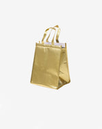 Insulation Bag with Velcro Closure