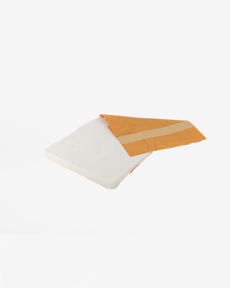 100 ECO FRIENDLY Glassine Bags: 100x70mm plus flap - seeds, stamps,  confetti. | eBay