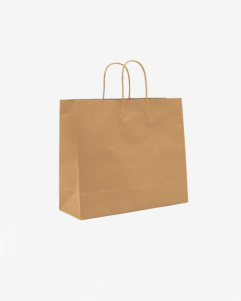 Kraft Food Paper Bag (4)