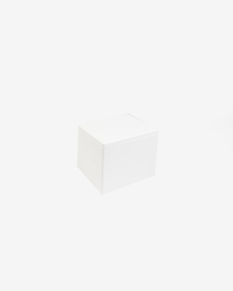 Sytrofoam Box (XS)